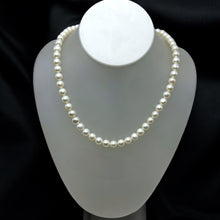 Pearl Classic White Plain Ringed Necklace