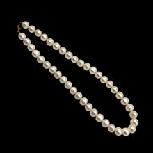 Pearl Chic Plain White Necklace June Birthstone