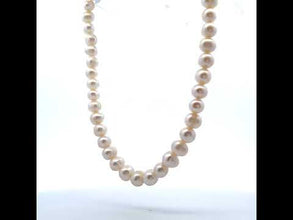 Pearl White Plain Elegant Ringed Necklace