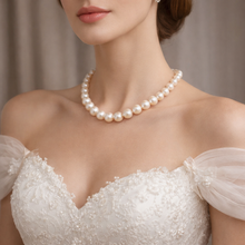 Freshwater Pearl 10mm Cream Round 17
