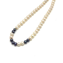 Pearl Classic Dark Grey White Color June Birthstone Necklace