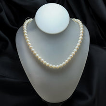 Classic White Plain Pearl Necklace Jewelry