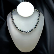 Classic Dark Grey Plain Button Pearl Necklace