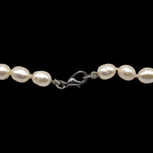 Freshwater Smooth Pearl 8mm Button Plain Chic Necklace | 15.6 Inch June Birthstone Modern Jewelry - Necklace