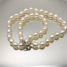 Freshwater Smooth Pearl 8mm Button Plain Chic Necklace | 15.6 Inch June Birthstone Modern Jewelry - Necklace