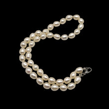 Freshwater Smooth Pearl 8mm Button Plain Chic Necklace | 15.6 Inch June Birthstone Modern Jewelry - Necklace