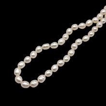 Freshwater Smooth Pearl 8mm Button Plain Chic Necklace | 15.6 Inch June Birthstone Modern Jewelry - Necklace