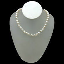 Freshwater Smooth Pearl 8mm Button Plain Chic Necklace | 15.6 Inch June Birthstone Modern Jewelry - Necklace