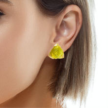 Handmade Earrings Fish Scales Green Rose Jewelry