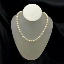 Pearl White Plain Ringed Charming Necklace