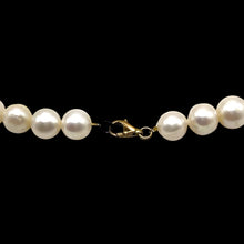 Pearl Chic Plain White Necklace June Birthstone