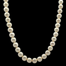 Pearl Enchanting White Plain Ringed Necklace